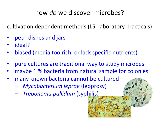 How do we discover microbes?