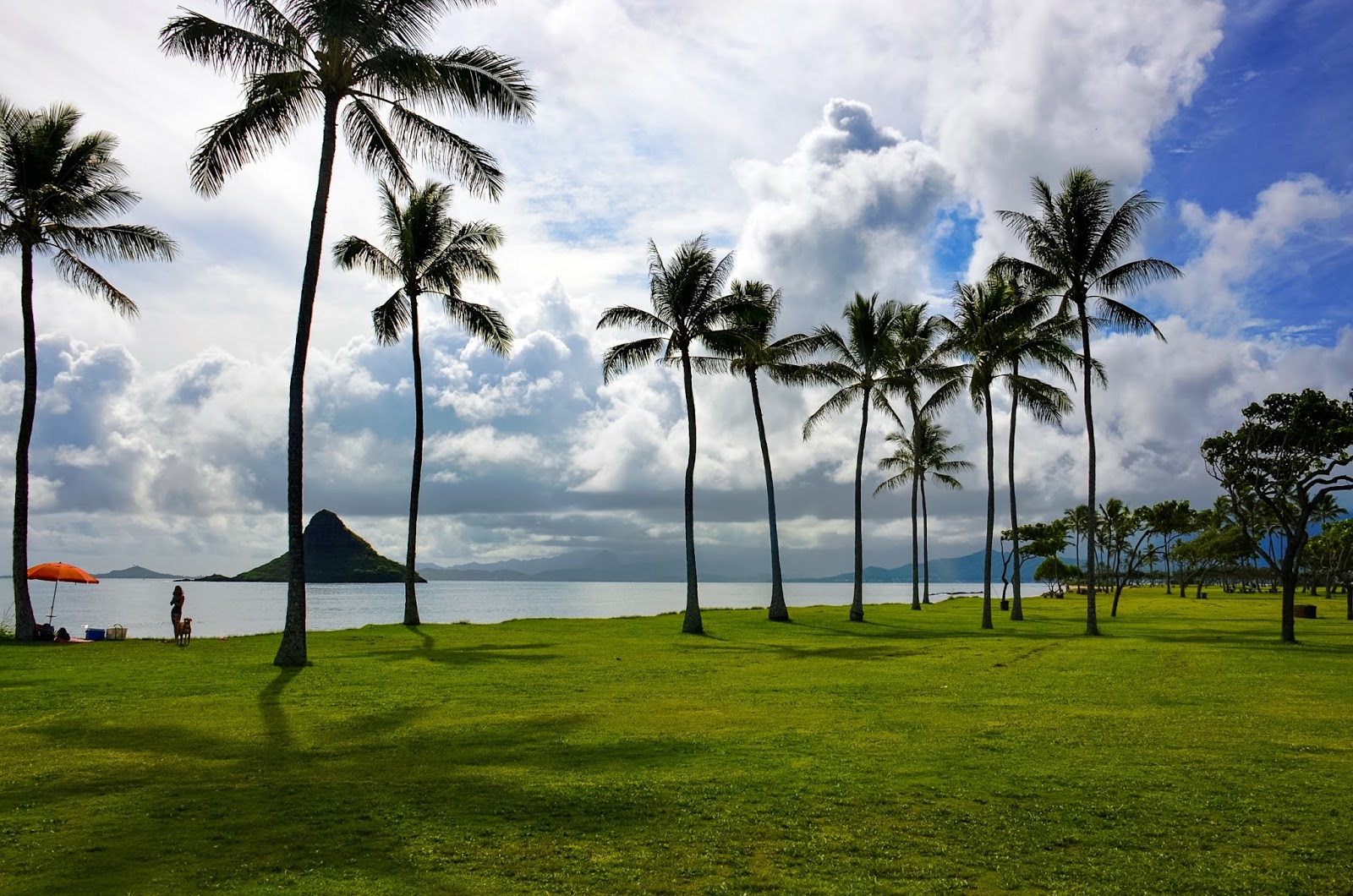 chinaman's hat