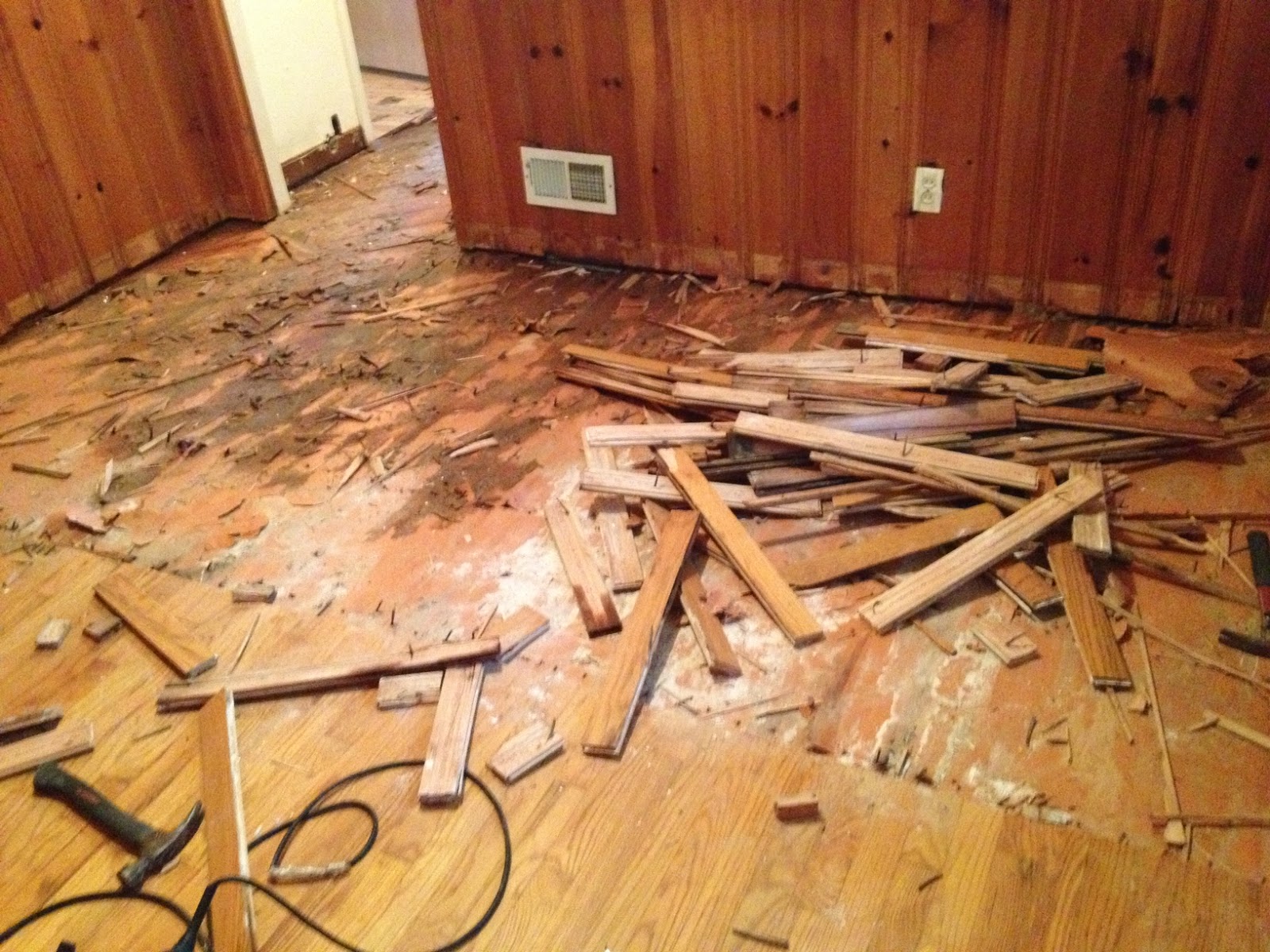 Durm and Durmer I Feel the Earth Move Under My Feet