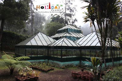 A unique greenhouse at Bryant Park A unique greenhouse at Bryant Park