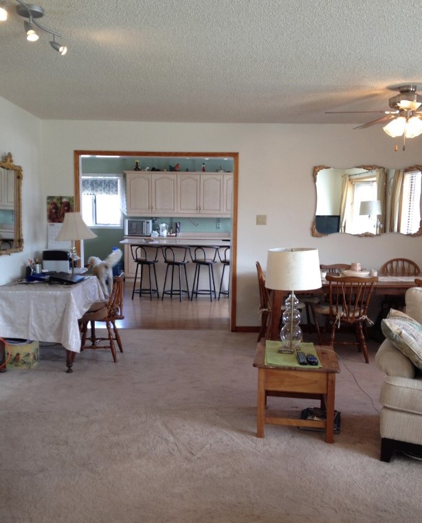 Just Reduced! 230 McGuire Beach Rd Kirkfield Home & Property Sale