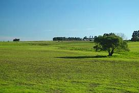 TABOLLETS!! : ): LLANURAS