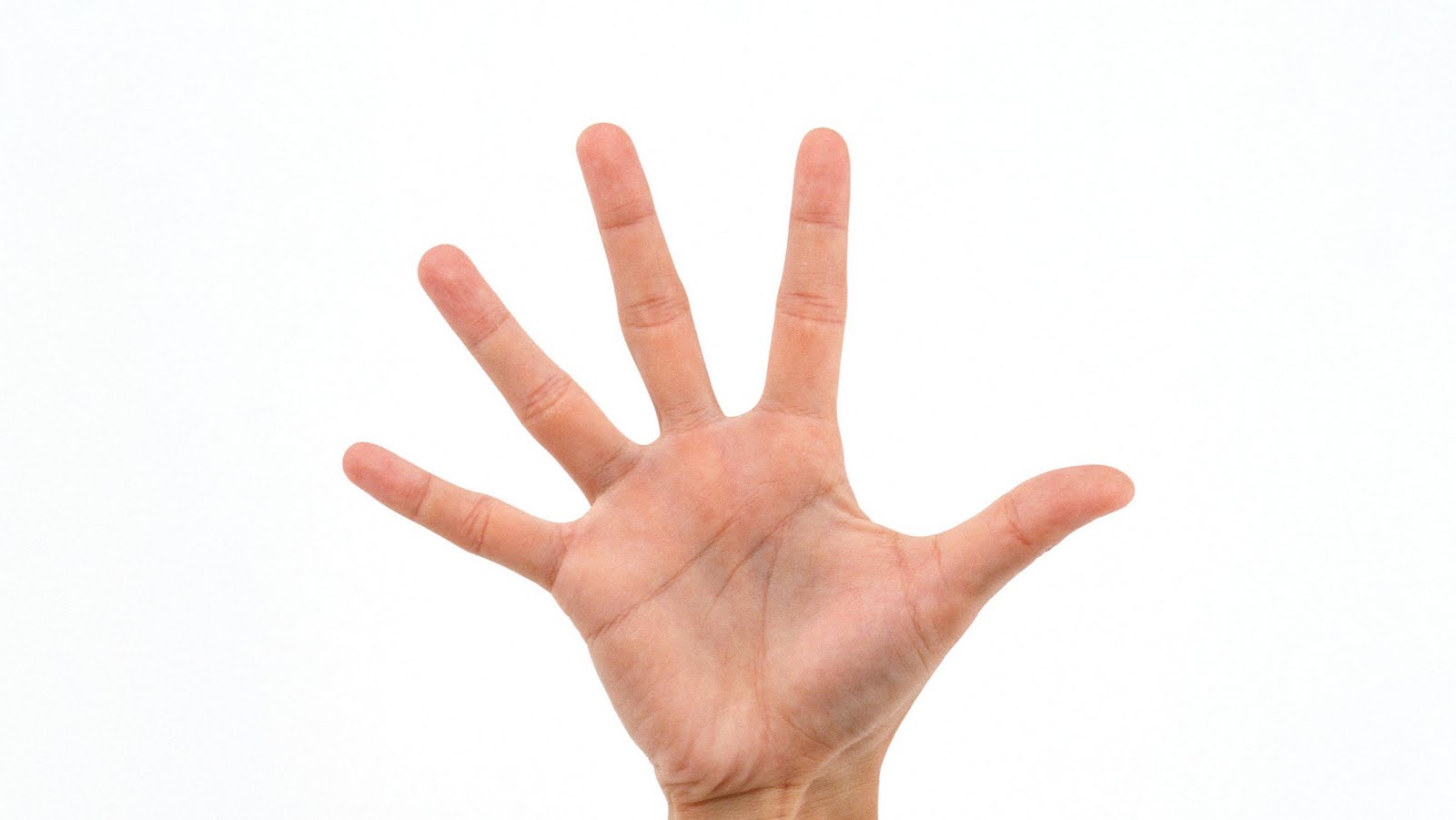 Цифры на пальцах для детей. Жесты пальцами для детей. Он дружок зверям и детям он живое существо. Не живой но пять пальцев. Загадка у меня на руке двадцать пальцев.