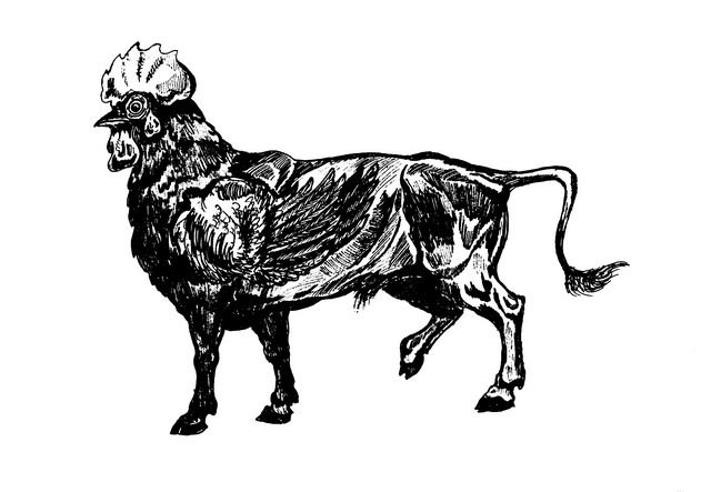 Бык и петух совместимость. Бык петух. Он бык она петух. Зимовье зверей сказка ссср. Рисованная корова винтаж.