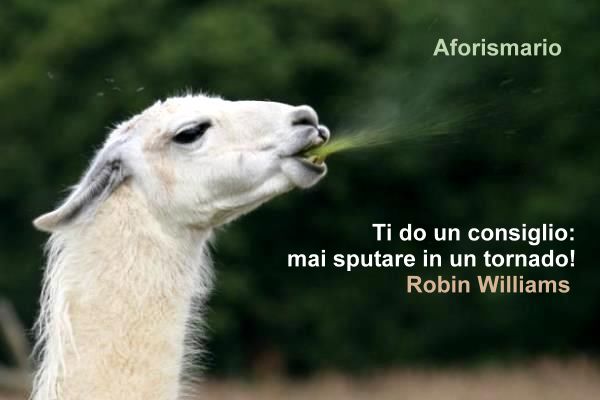 Aforismario Aforismi Frasi E Proverbi Sullo Sputare