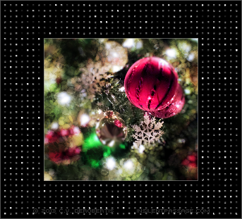 Just for Fun 6: Onel Image 1 - Christmas 2013 Copyright 2013 Christopher V. DeRobertis. All rights reserved. insilentpassage.com