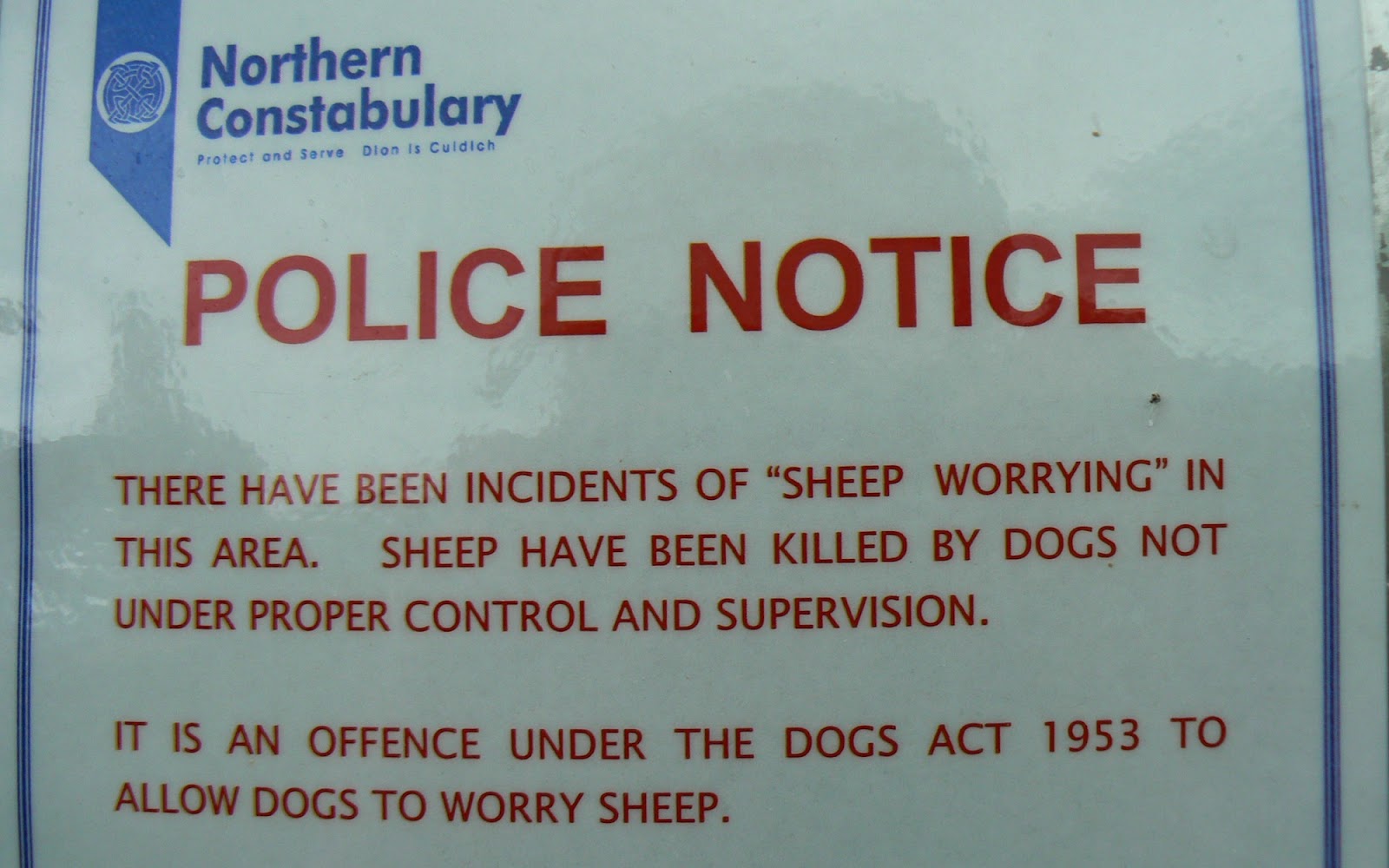 A Kilchoan Diary Dog Control