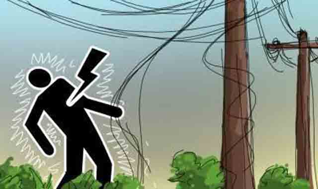 Lightning kills one elderly in Srivardi: daughter-in-law injured শ্রীবরদীতে বিদ্যুৎস্পৃষ্টে এক বৃদ্ধা নিহত: পুত্রবধূ আহত
