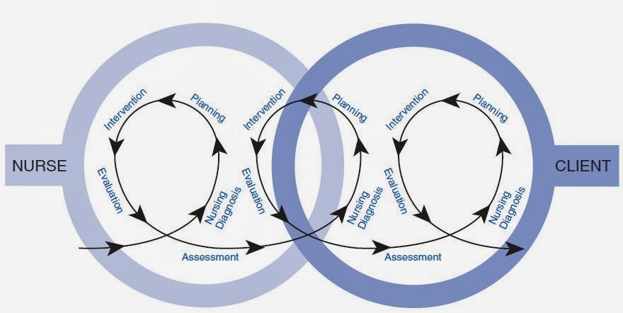 Application of the Nursing Process ~ Nursing
