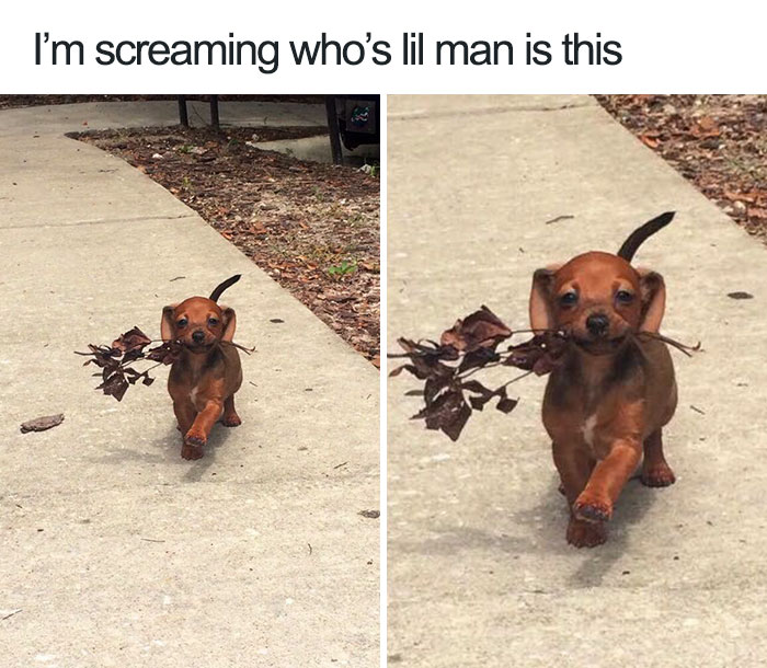 30 Happy Animals That Will Make Your Day 30 Happy Animals That Will Make Your Day