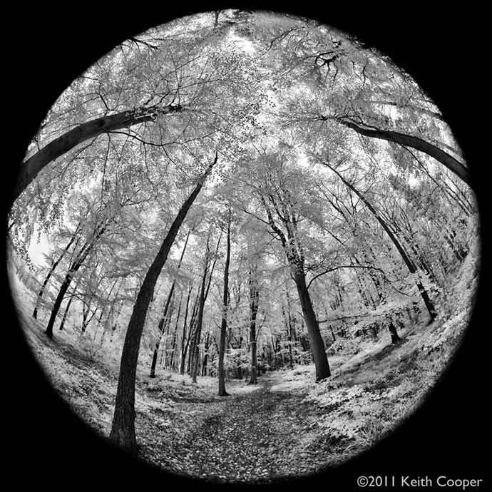 A History of Graphic Design Chapter 96 The History of the Fisheye