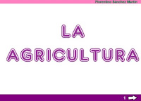 http://www.ceiploreto.es/sugerencias/cplosangeles.juntaextremadura.net/web/curso_3/sociales_3/agricultura_3/agricultura_3.html