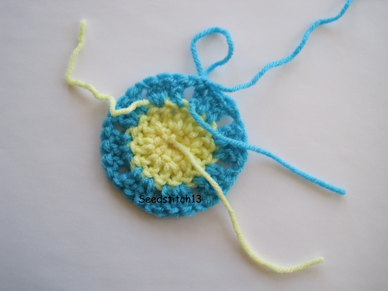 Seedstitch13 Daisy Flower Charity Square