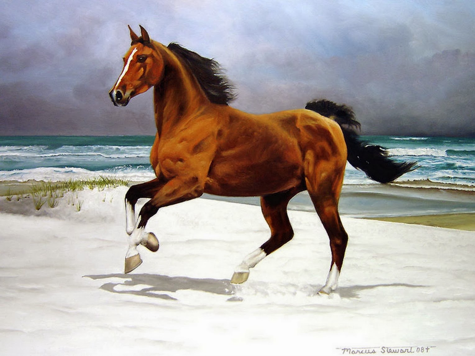 Pintura Moderna y Fotografía Artística : Imágenes de Pinturas al Óleo