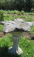 BIRD BATH