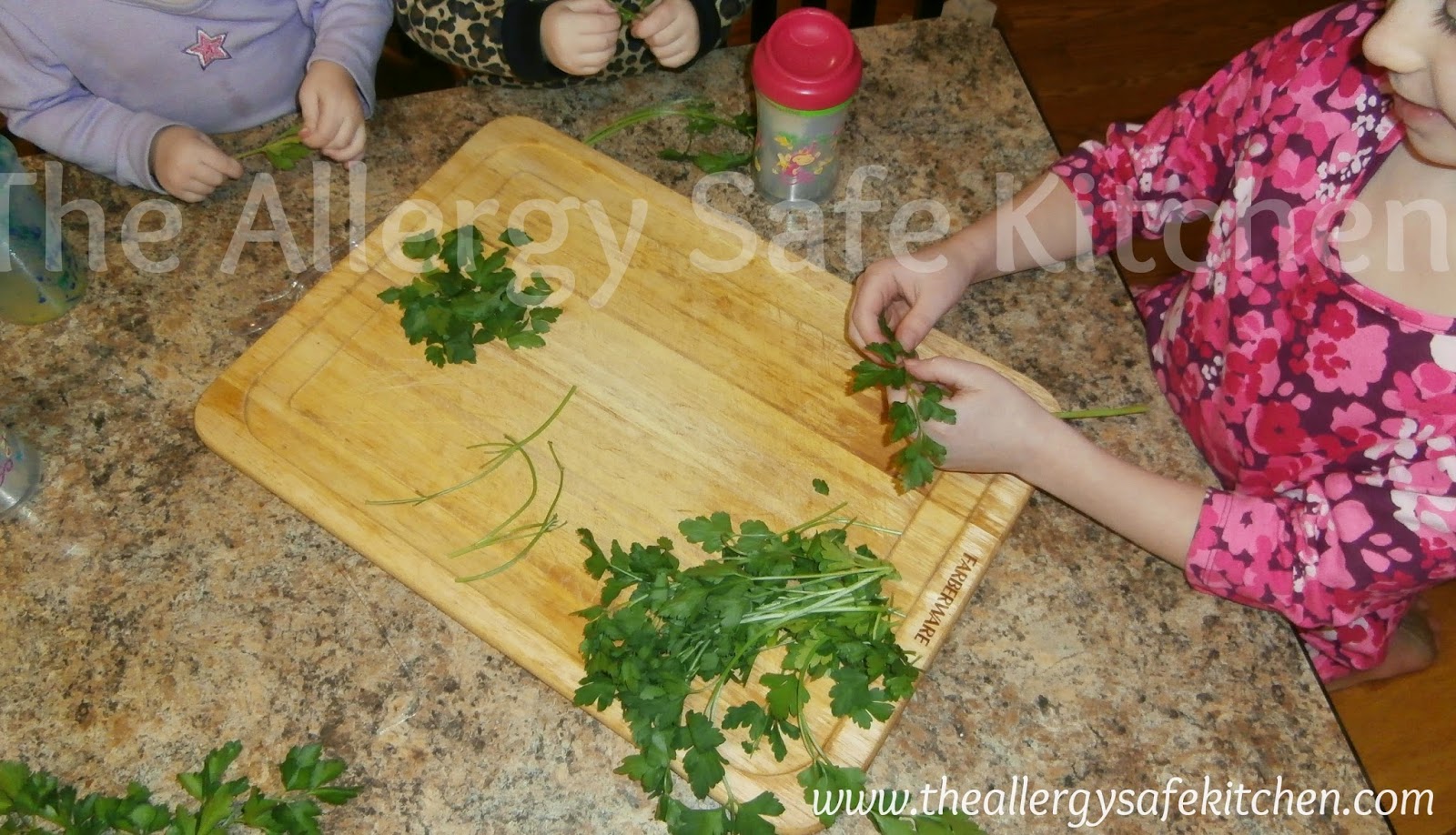 The Allergy Safe Kitchen Kitchen Tip Tuesday! Reduce waste Parsley Stems