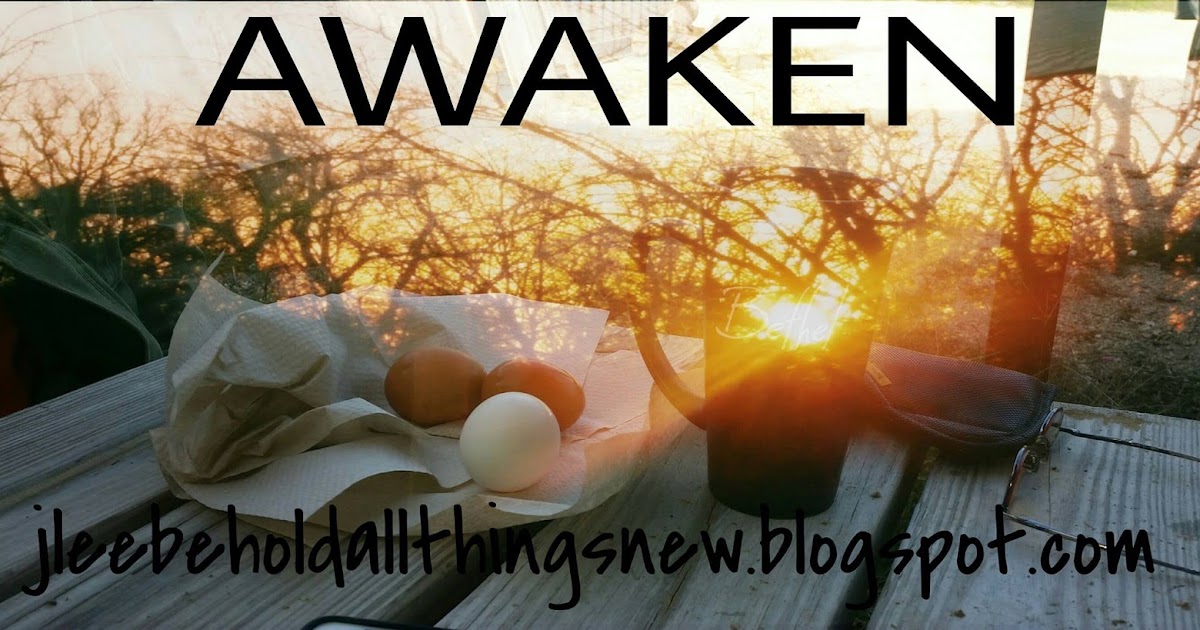 Live Dream Create Awaken Your Soul!