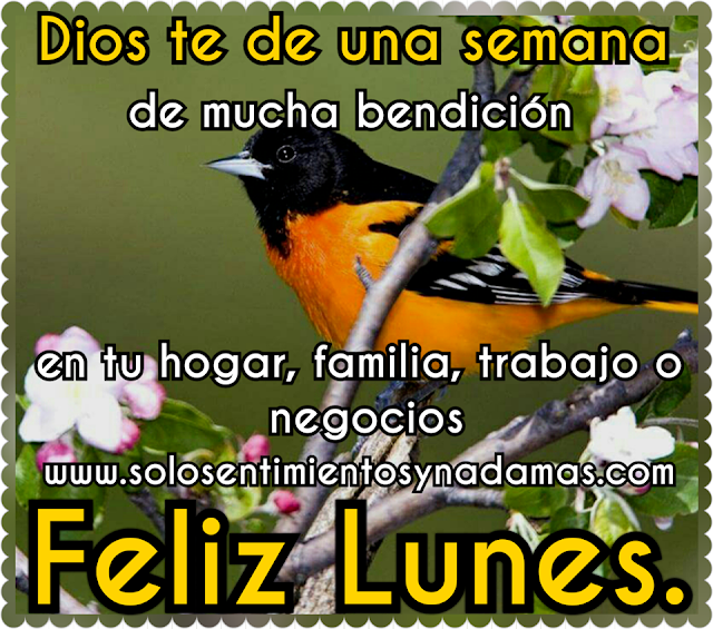 Feliz lunes.