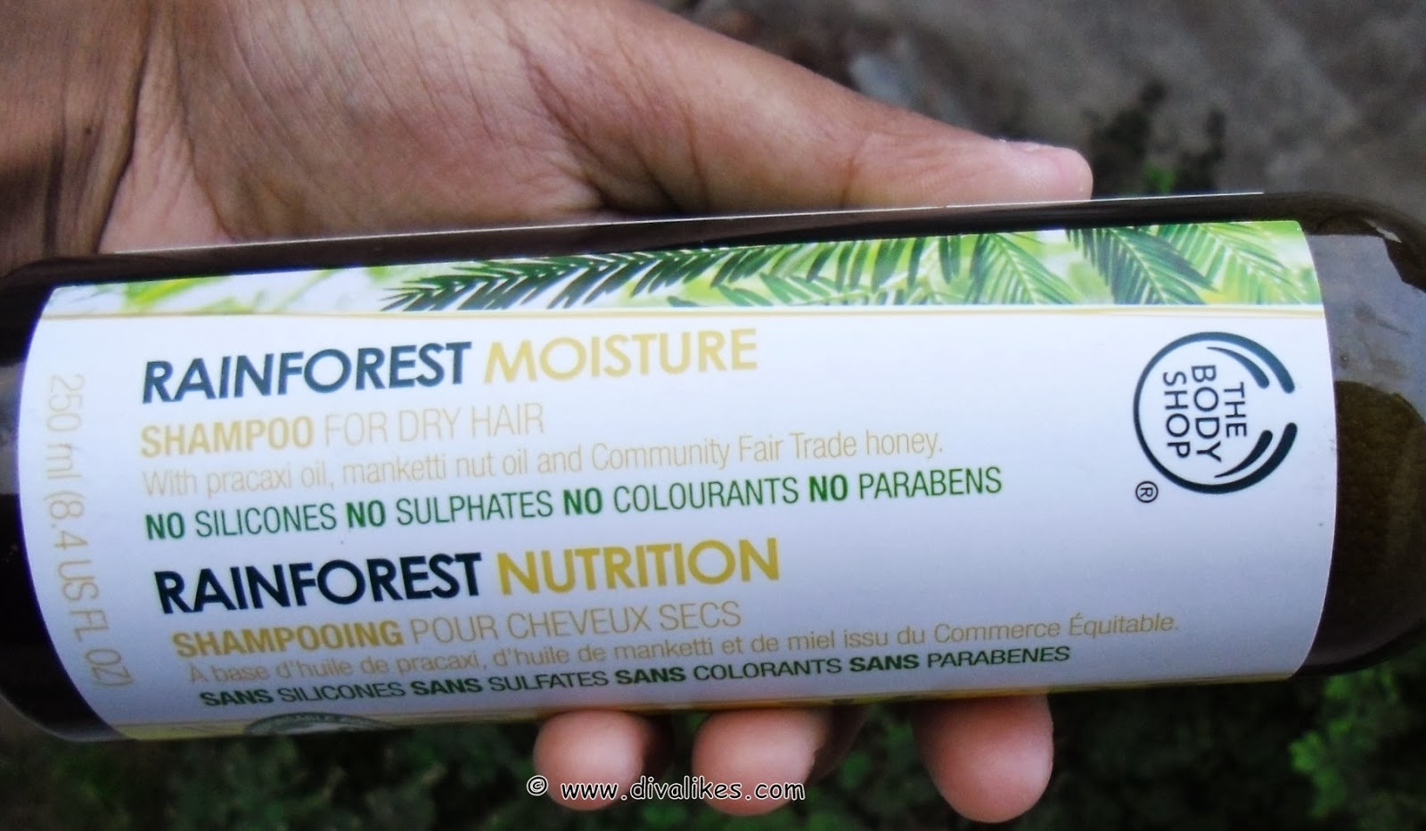 The Body Shop Rainforest Moisture Shampoo Review Diva Likes