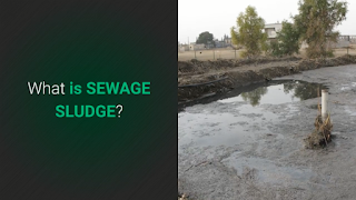 Image features the "What is Sewage Sludge" web page.