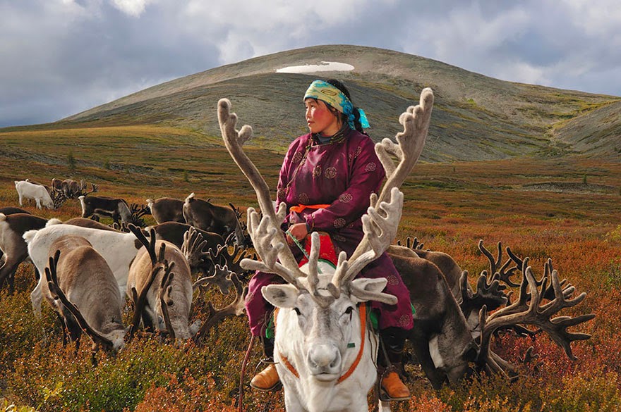 reindeer people Dukha people Hamid Sardar-Afkhami-1