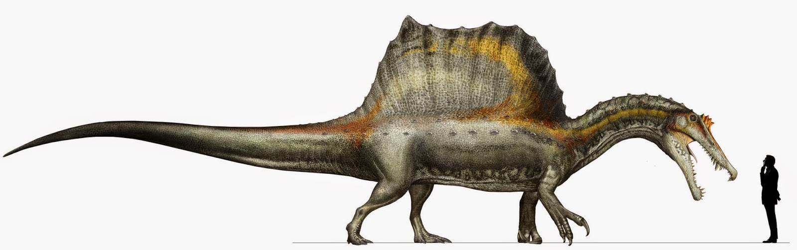 Dinosaur Renaissance Las mil caras del nuevo Spinosaurus