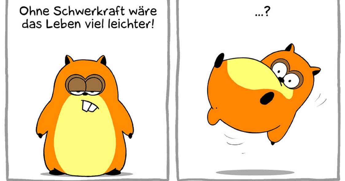 Hamster kennenlernen