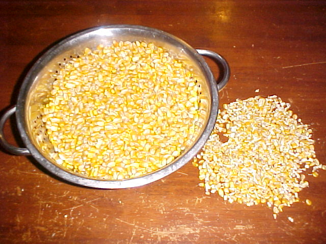 How Much Is 4 Quarts >> Poverty Prepping: Dave's Kitchen: Making hominy How Much Is 4 Quarts >> Poverty Prepping: Dave's Kitchen: Making hominy