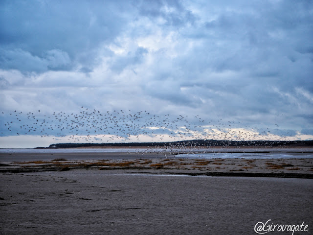 riserva naturale baia della somme