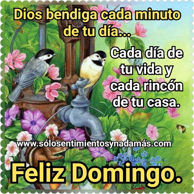 Feliz domingo.