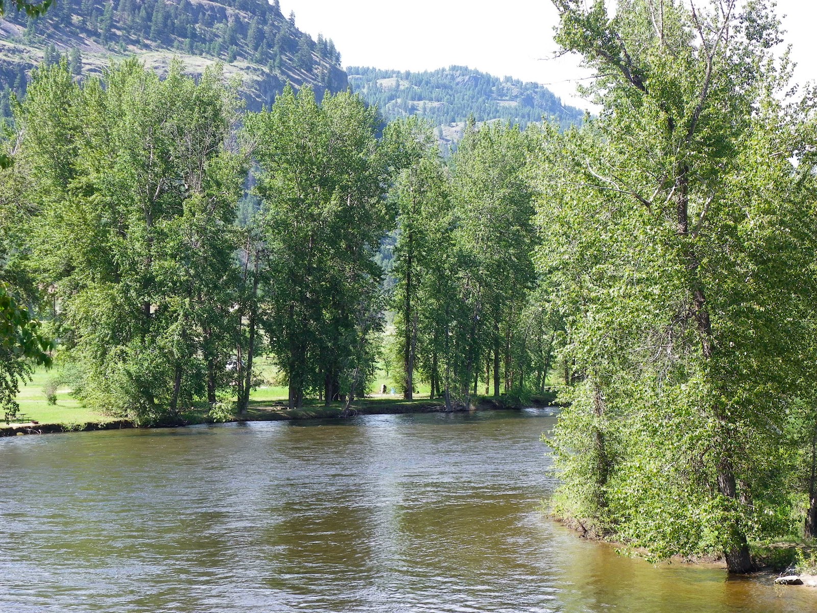 PICKING POSIES KETTLE RIVER PROVINCIAL PARK