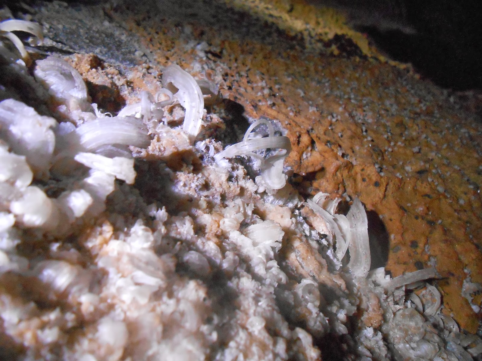 The Life of a Caver: TAG Caving