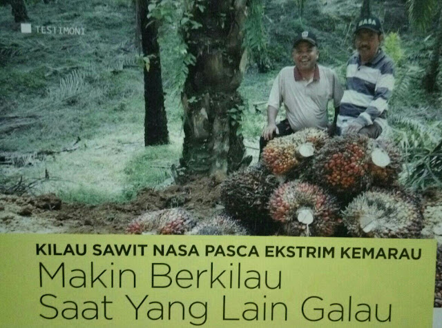Trik atasi masalah sawit musim kemarau Trik atasi masalah sawit musim kemarau