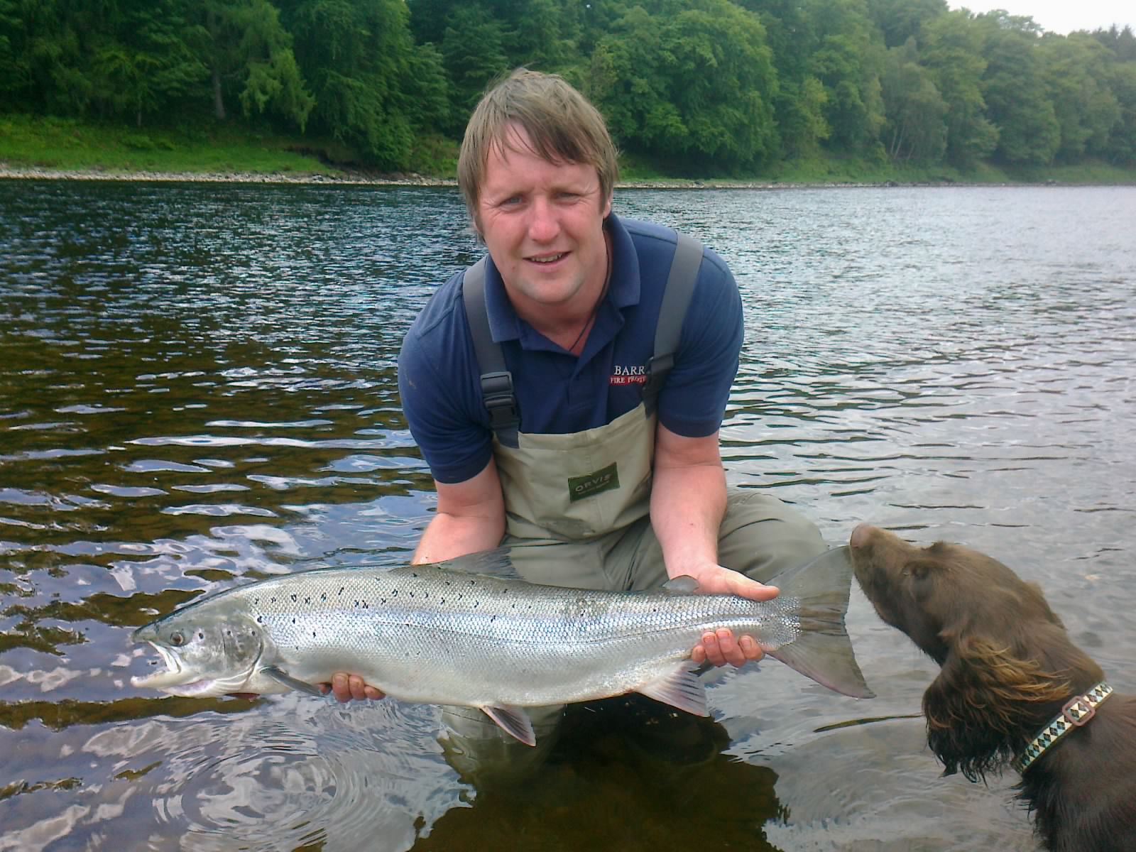 Salmon Fishing Scotland. Salmon Fishing Scotland Salmon Fly Fishing on