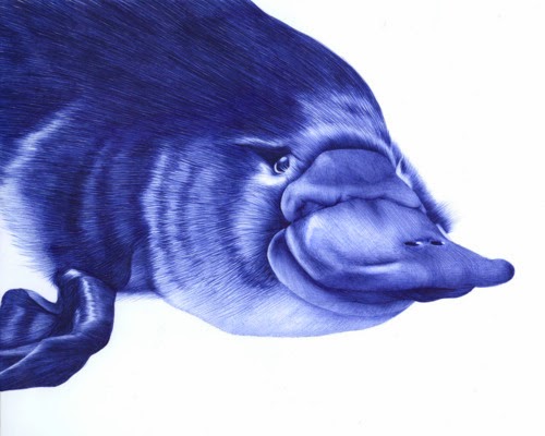 13-Platypus-Sarah-Esteje-ABADIDABOU-Hyper-realistic-Ballpoint-Pen-Animals-www-designstack-co