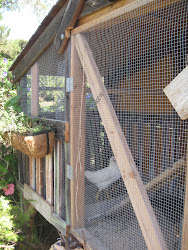 chicken coop play wire french iest chic structural adjustments existing chopped few legs outdoor added