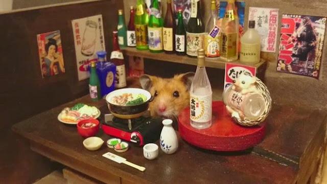 Un chouette restaurant japonais tenu par des petits hamsters  Un%2Brestaurant%2Btenu%2Bpar%2Bdes%2Bhamsters%2Bphoto%2B3
