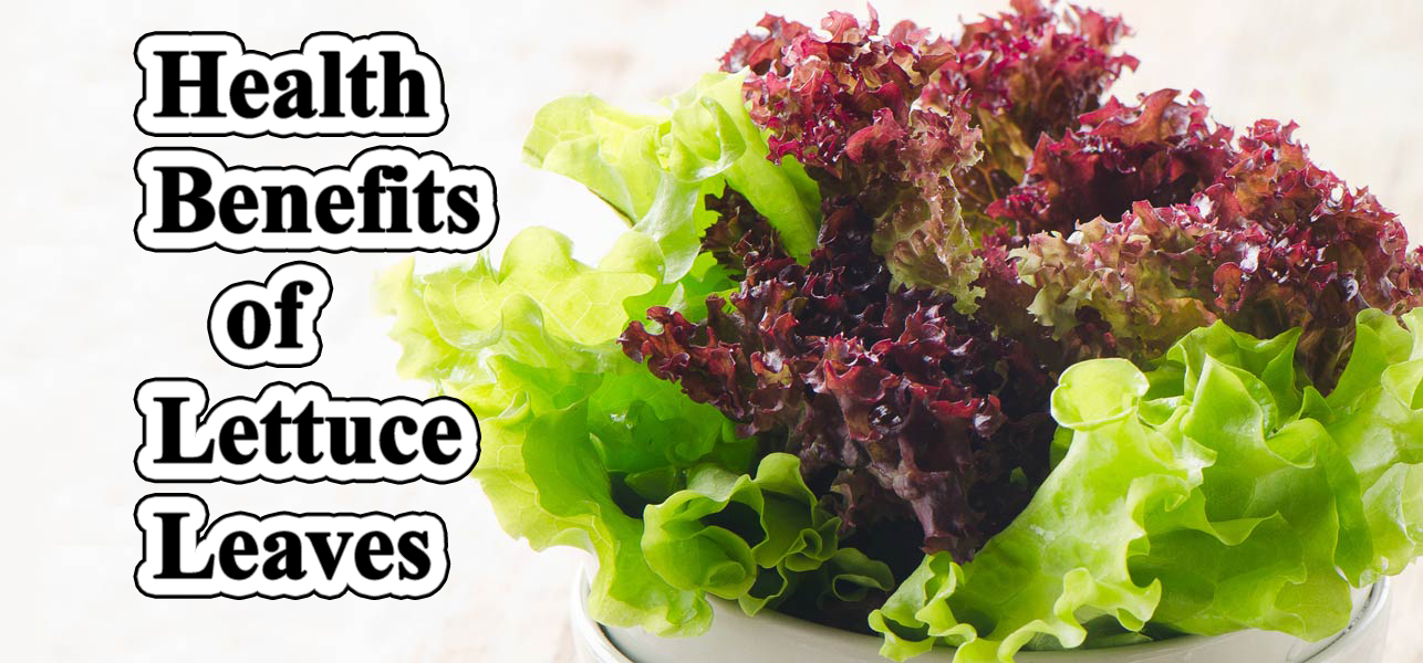 Health Benefits of Lettuce Leaves, Helps Weight Loss Natural Remedies