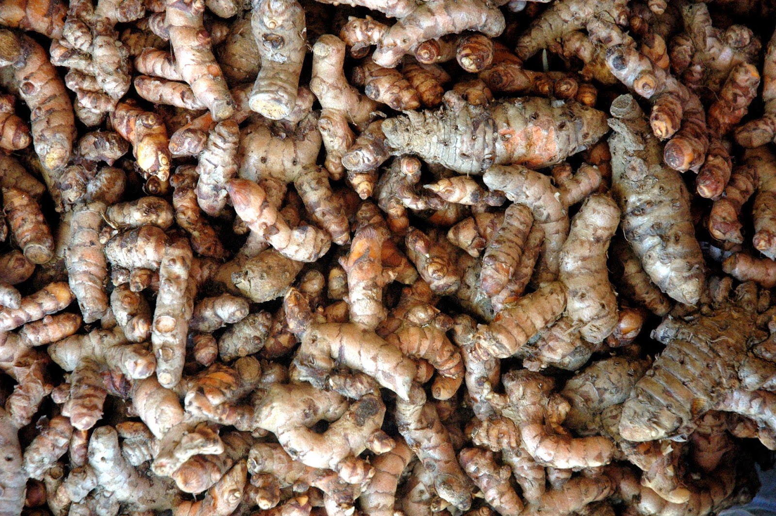 DUDE FOR FOOD Flavors of Catbalogan Going Native at Rutchel's Eatery