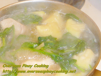 Tinolang Manok sa Patola - Cooking Procedure Tinolang Manok sa Patola - Cooking Procedure