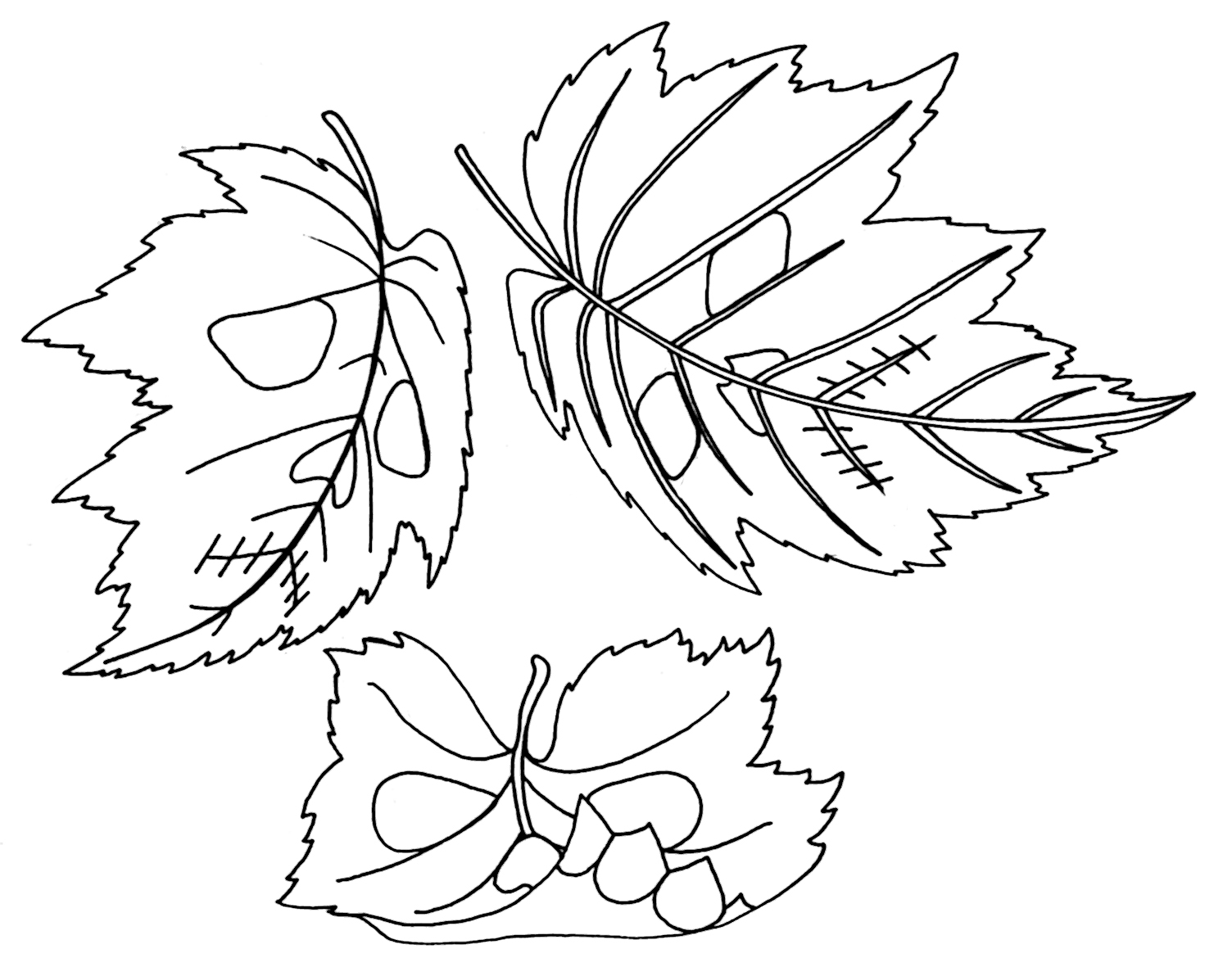 l for leaf coloring pages - photo #41