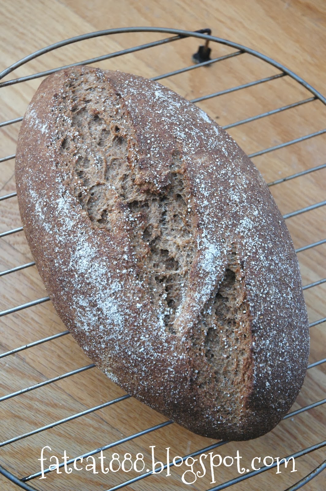 胖貓網誌 fatcat's blog Homework 2Whole Grain Porter Rye Bread (Zingerman