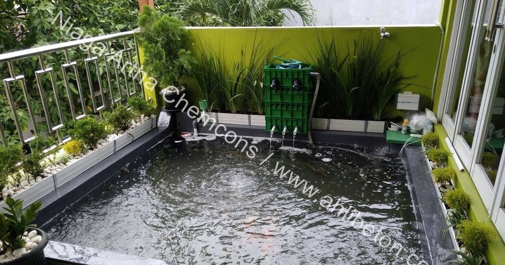 39+ Info Penting Cat Lantai Kolam Ikan