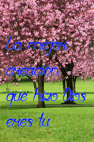 La mejor creación que hizo Dios eres tu La mejor creación que hizo Dios eres tu
