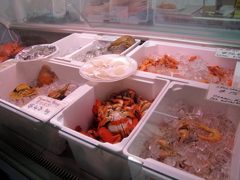 Style from the Suburban Intellect A weekend on North Stradbroke Island