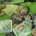 Menumbuhkan Fitrah Keimanan Dengan Buku