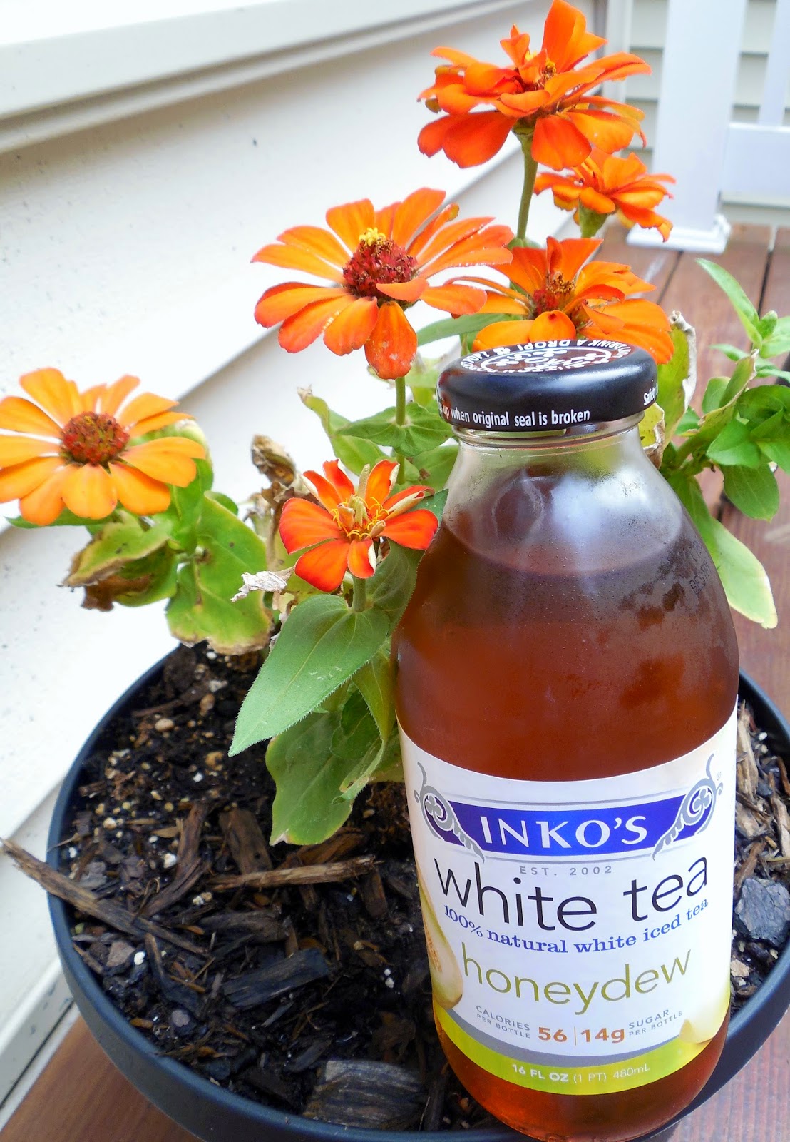 Teatime Journeys Summer Sunday Iced Tea Post 10, Inko's