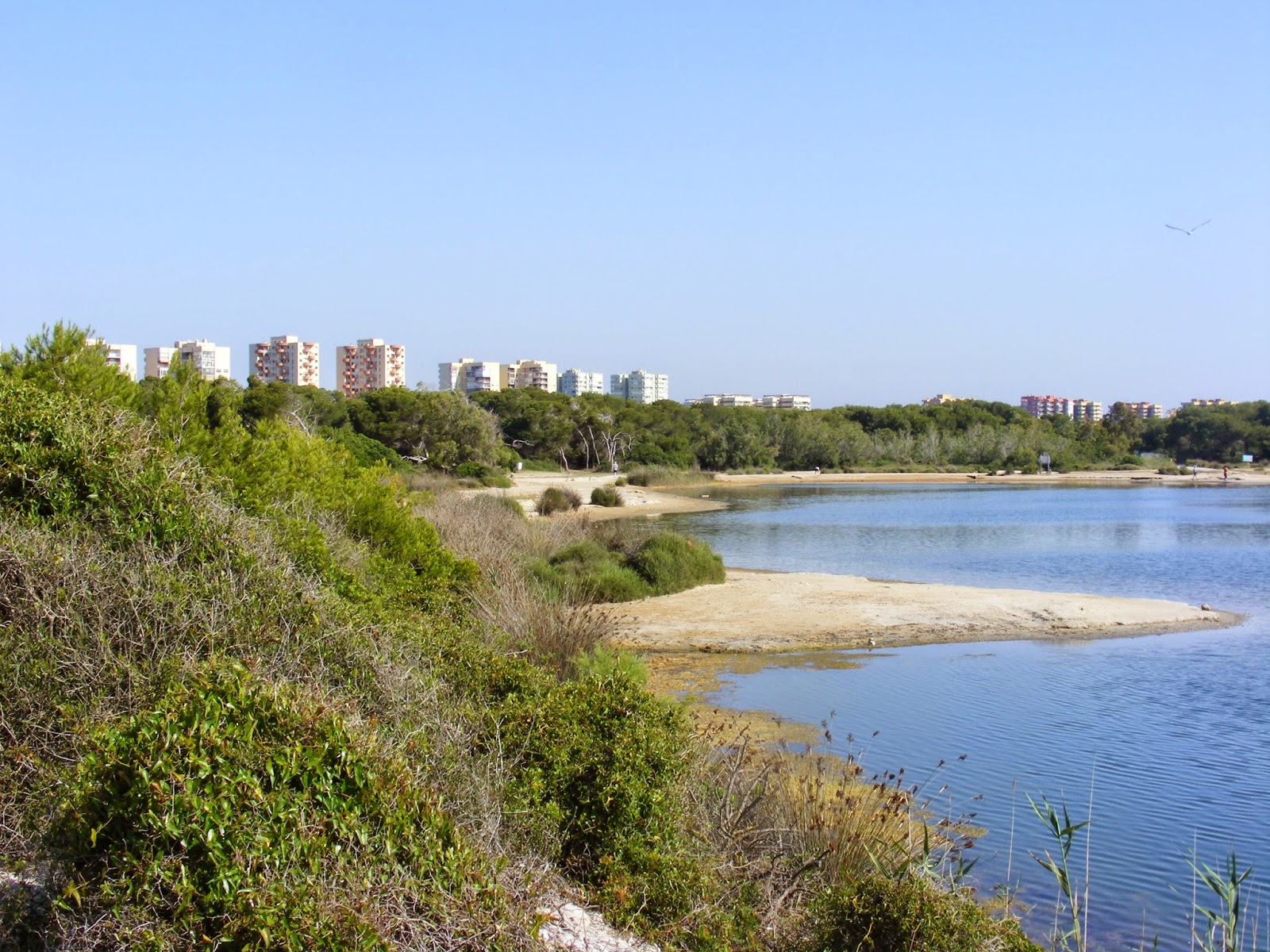 Fotos que me gustan Todas están hechas por mi El lago artificial de