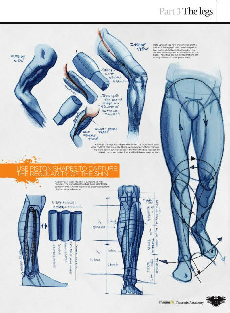 Imaginefx Presents How To Draw And Paint Anatomy Pdf