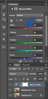 Cara Membuat Efek Selective Color dengan Photoshop CS6